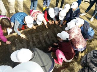 Alla scuola dell’infanzia Città di Alba si impara a fare l’orto