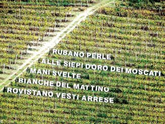 Il paese dove la poesia è scritta tra i vigneti