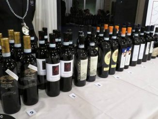 Fine settimana dedicato alla presentazione del Barbera di Castellinaldo