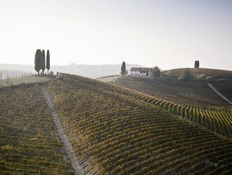 Il miglior vino del Mondo per Wine Enthusiast? Il Nizza docg di Michele Chiarlo