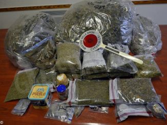 A Villafranca d’Asti sequestrati sette chili di marijuana