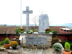 Il 4 novembre degli alpini, ad Alba e Santa Rosalia 6