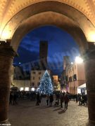 Il Natale si avvicina: in piazza Duomo da Alba ci sono albero e presepe 3