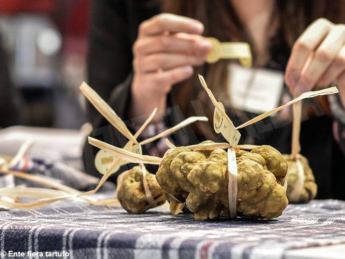 Fiera del tartufo di Alba: si è chiusa una straordinaria 88ª edizione 1