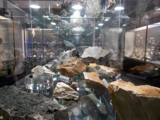 Il museo Eusebio sarà gestito da Oltreconfine