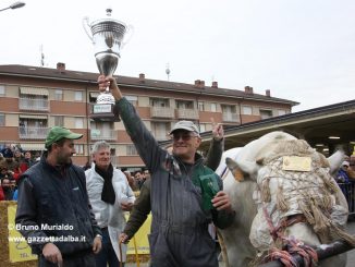 Fiera Bue grasso di Carrù da record: 147 esemplari in concorso