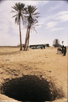 Il terreno sul quale possiamo far fiorire la gioia