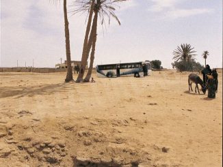 Il terreno sul quale possiamo far fiorire la gioia