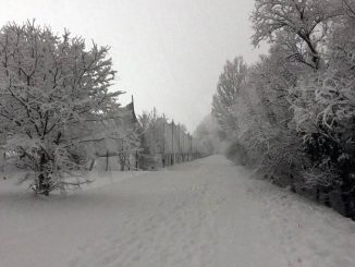 Langhe, Alba e il Roero imbiancati, inviateci i vostri scatti più belli. 15