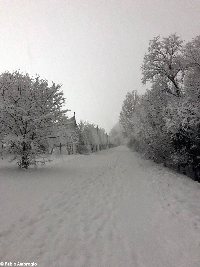 Langhe, Alba e il Roero imbiancati, inviateci i vostri scatti più belli. 15