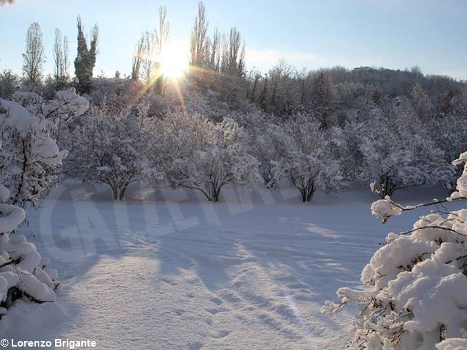 Langhe, Alba e il Roero imbiancati, inviateci i vostri scatti più belli. 21