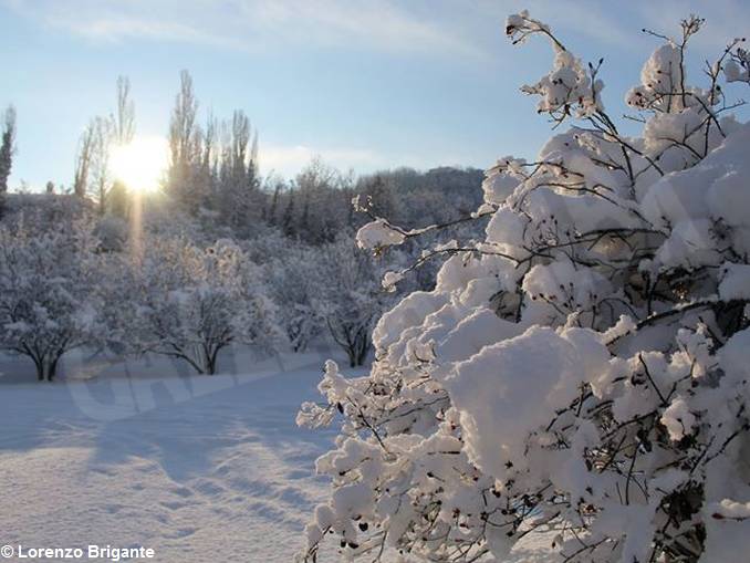 Langhe, Alba e il Roero imbiancati, inviateci i vostri scatti più belli. 22