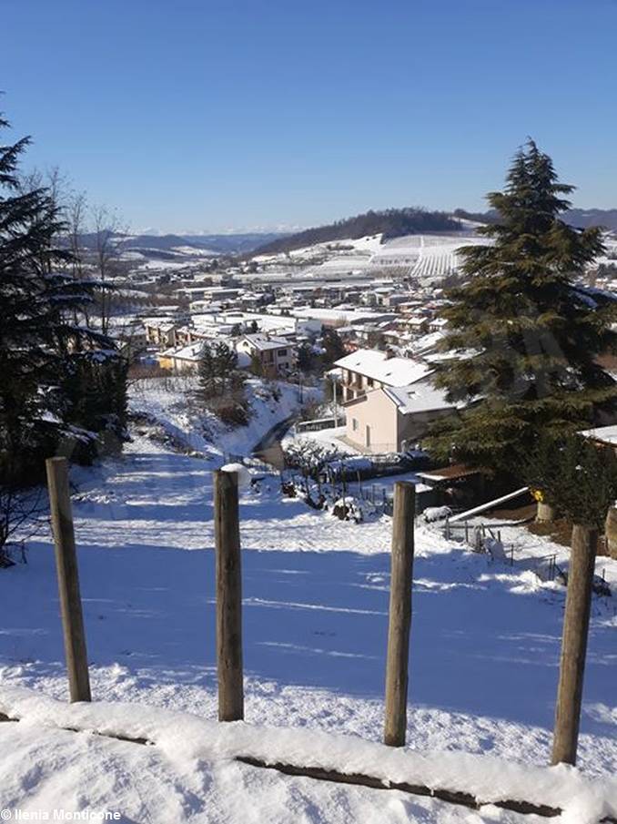 Langhe, Alba e il Roero imbiancati, inviateci i vostri scatti più belli. 25