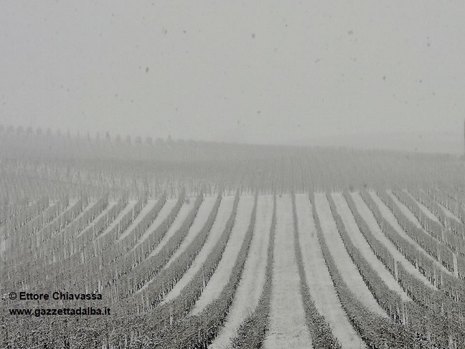 Langhe, Alba e il Roero imbiancati, inviateci i vostri scatti più belli. 4