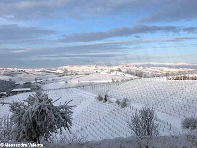 Langhe, Alba e il Roero imbiancati, inviateci i vostri scatti più belli. 6