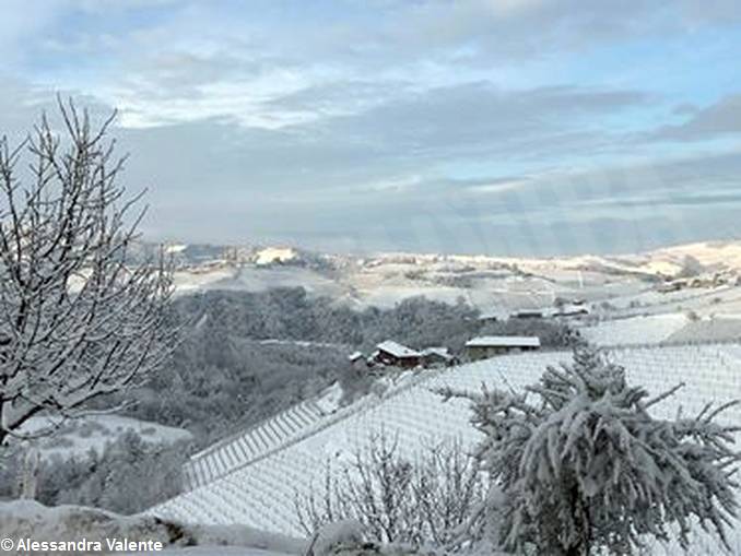 Langhe, Alba e il Roero imbiancati, inviateci i vostri scatti più belli. 7