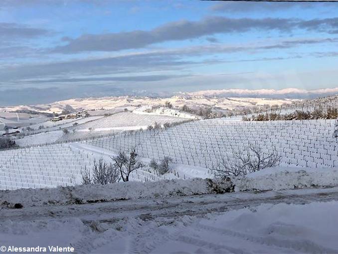 Langhe, Alba e il Roero imbiancati, inviateci i vostri scatti più belli. 8