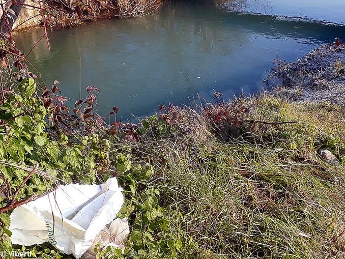 Tanardo da salvare. A piedi lungo il fiume: un cimitero di pattume 1