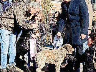 La sfilata di 115 trifolao con i tabui: il cane più anziano è di Carmagnola