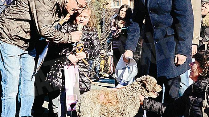La sfilata di 115 trifolao con i tabui: il cane più anziano è di Carmagnola
