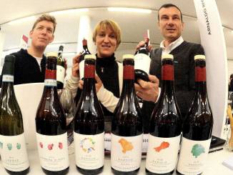 Rosa Oberto, la prima donna vicepresidente di Terre del Barolo