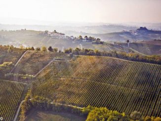 Michele Chiarlo ha acquisito altri dieci ettari di vigneti nella zona del Nizza Docg