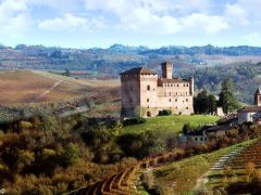 castello di Grinzane