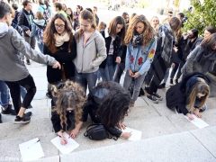 Fridays for future ad Alba, la fotogallery della manifestazione