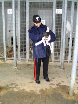 Denunciata un’allevatrice di cani di Cossano Belbo che prescriveva farmaci come se fosse un veterinario