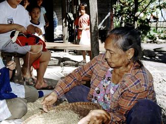 Ecco come nascono grandi uomini e frutti buoni