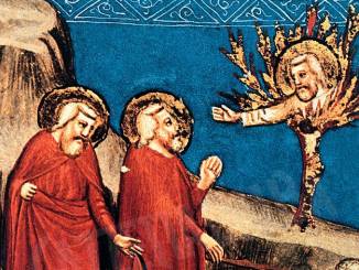 Il vignaiolo che attende frutti da duemila anni