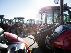 60mila presenze alla Fiera della meccanizzazione agricola di Savigliano 3