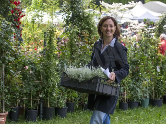 Tre giorni per il giardino al castello di Masino, bene tutelato dal Fai