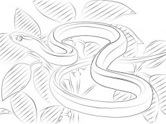 Racconto di Pasqua 16