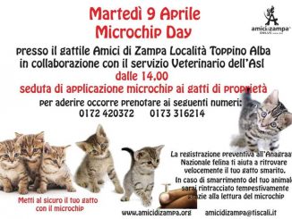 Amici di zampa invita a mettere il microchip di riconoscimento al proprio gatto