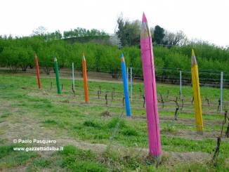 Le vigne "a colori" dei produttori priocchesi