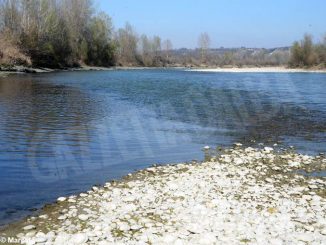 Il Tanaro è più inquinato dopo il percorso albese