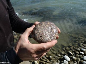 Il Tanaro è più inquinato dopo il percorso albese 4