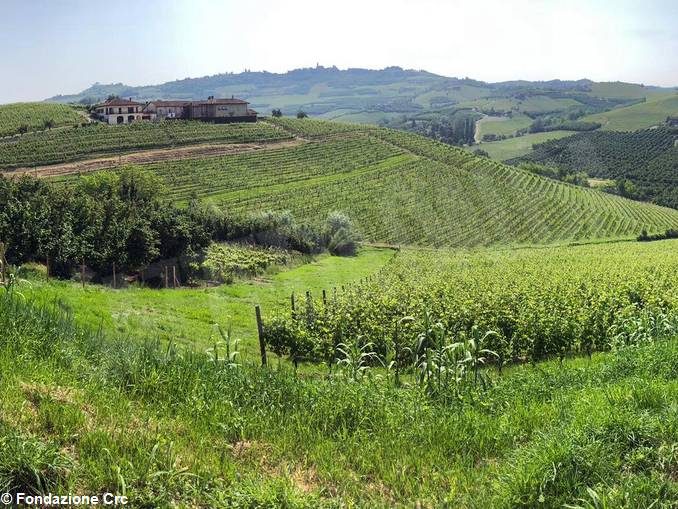 La vigna sotto il castello di Grinzane acquistata dalla fondazione Crc 1