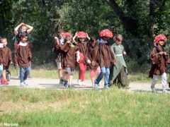 Le foto della Feste delle buone energie a parco Tanaro 13