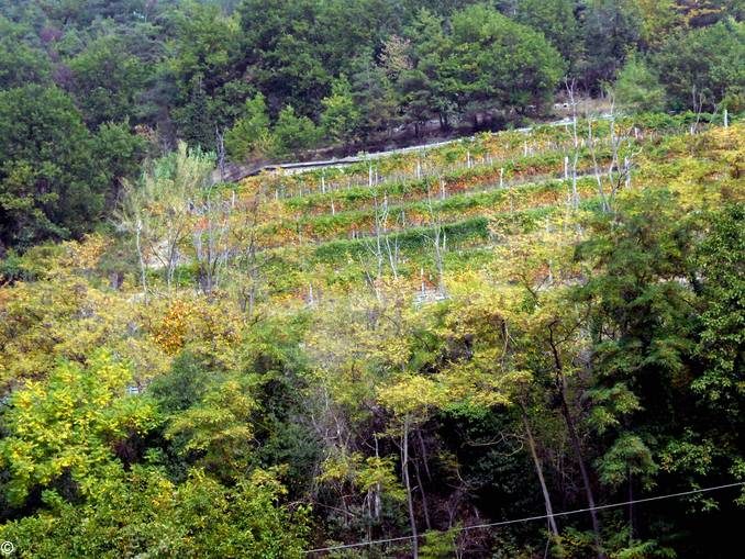 Il territorio ieri e oggi: l’alta Langa 1