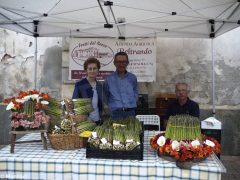 Fiera delle terre rosse a Ceresole