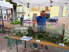 Fiera delle terre rosse a Ceresole 1