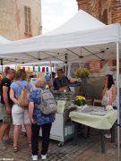 Fiera delle terre rosse a Ceresole 13