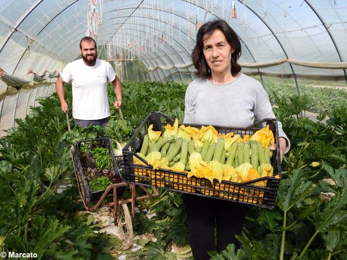 Le donne attive nell’agricoltura, custodi preziose di cibo e natura 2