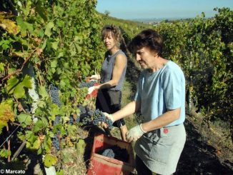 Le donne attive nell’agricoltura, custodi preziose di cibo e natura 3