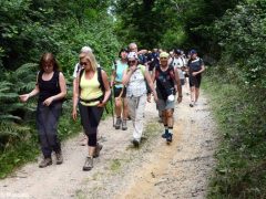 Bra-Castellinaldo lungo i sentieri  di fratel Bordino 3