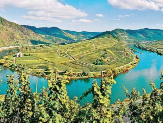 Al castello di Grinzane l’omaggio ai paesaggi del vino