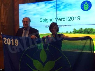 Alba, Canelli e Santo Stefano Belbo sono le spighe verdi 2019