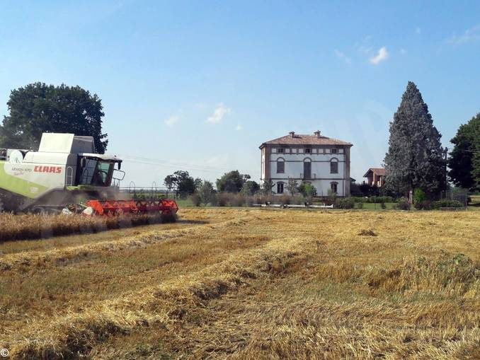 L’Oscar green Coldiretti all’albese Massimo Prandi per il suo birrificio contadino 1